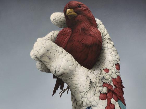 Young Phoenix, A Bird in the Hand of a Bird, Painting by Eckart Hahn, 2022