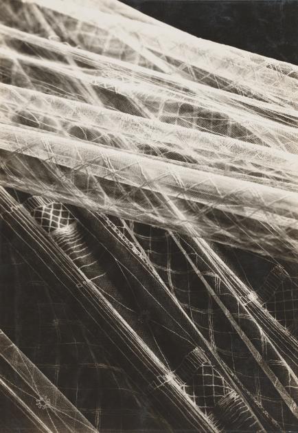 Fotografie eines Tüll-Stoffes von Hans Finsler aus dem Jahr 1928, schwarzweiß