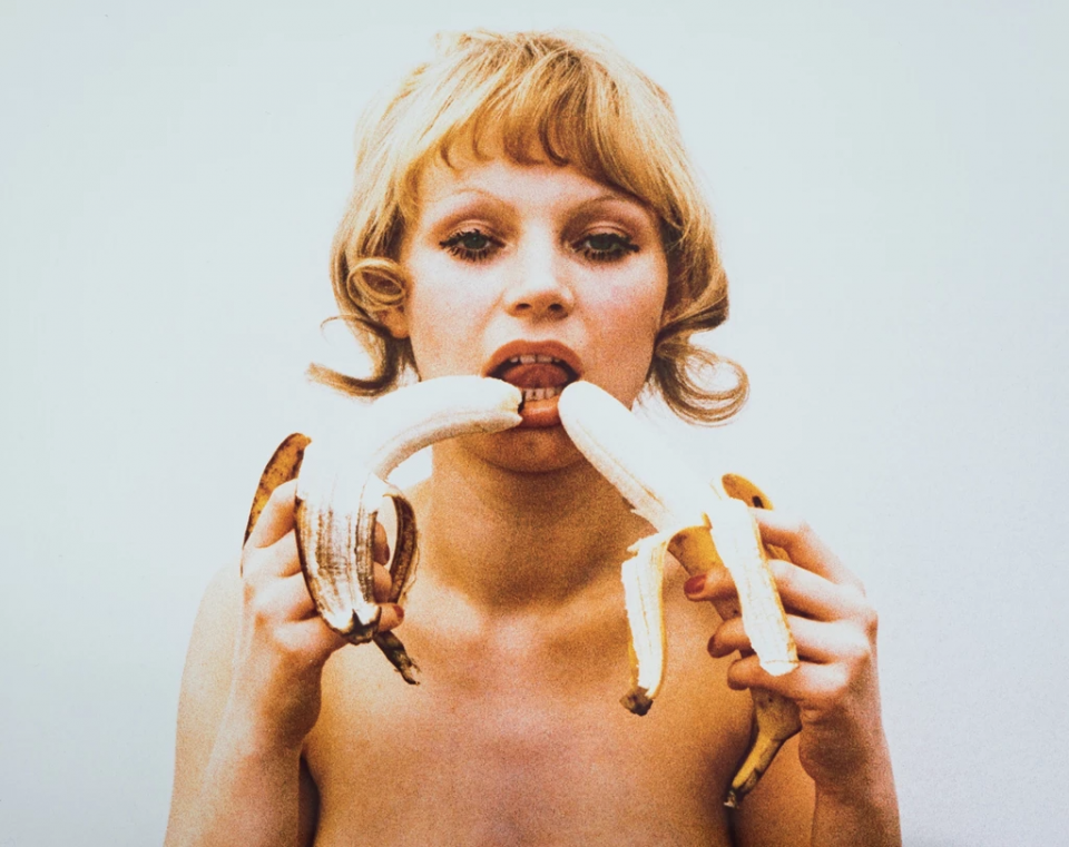 Natalia LL "Consumer Art", 1972
