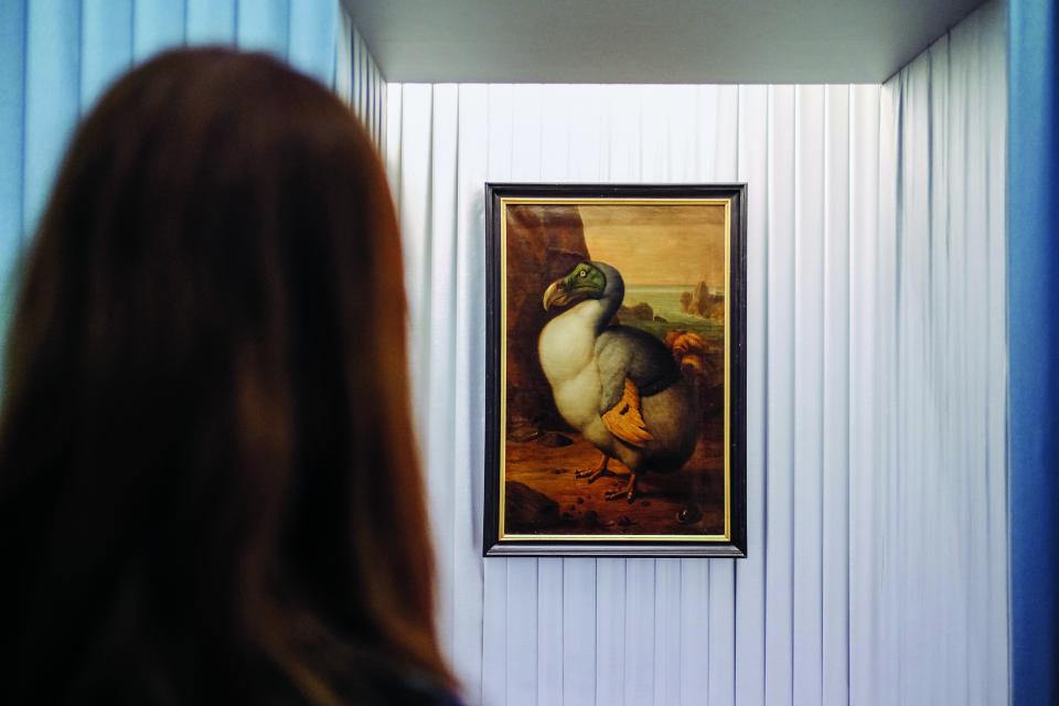 Frau betrachtet Gemälde