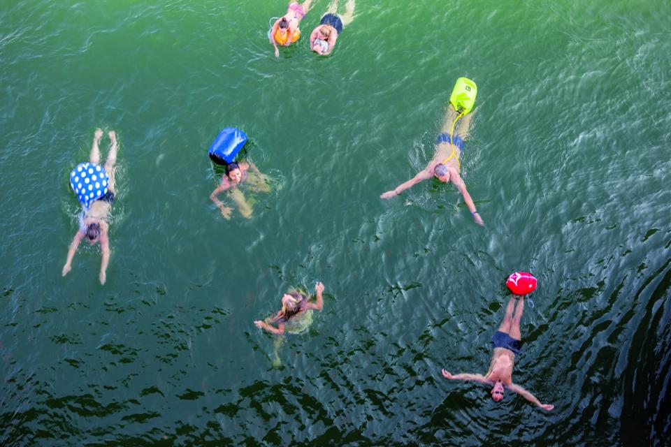 Schwimmer im Rhein