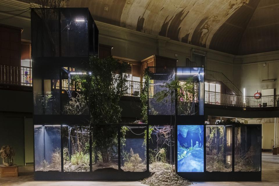 Ugo Schiavi "Grafted Memory System", 2022, Installationsansicht Lyon-Biennale "A Manifesto of Fragility", Musée Guimet