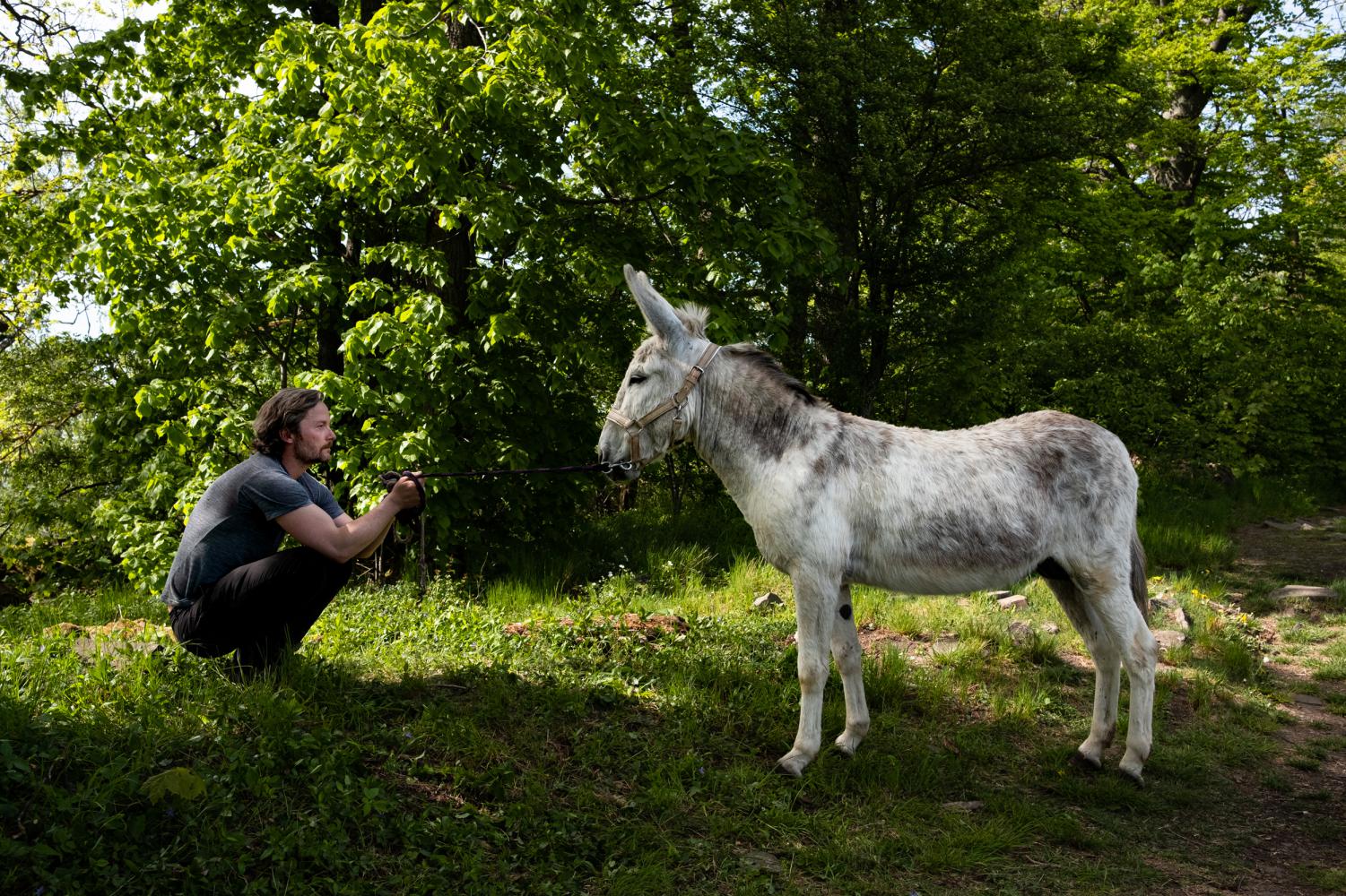 Erik Niedling mit dem Esel Daniel, 2020, bei der Performance-Wanderung auf den thüringischen Kleinen Gleichberg