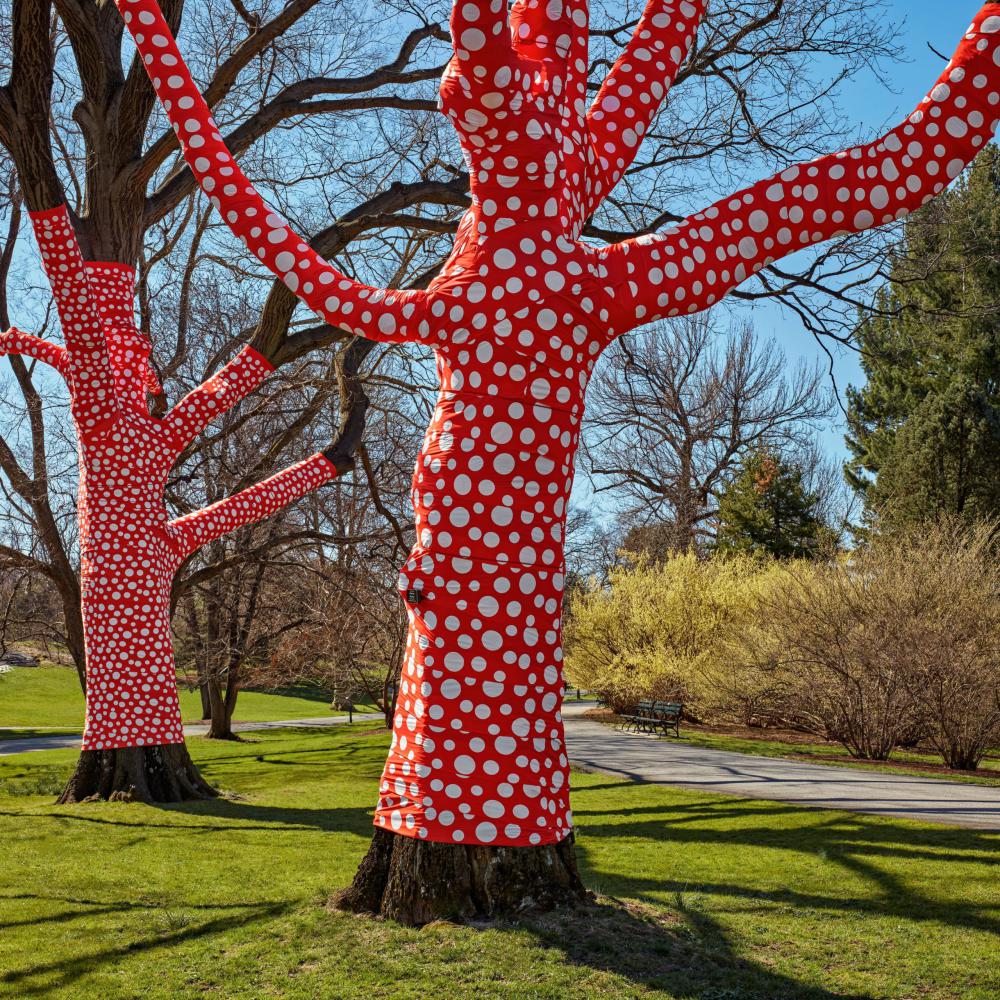 Yayoi Kusama "Ascension of Polka Dots on the Trees", 2002/2021, im New York Botanical GardenMy Soul Blooms Forever, 2019, The New York Botanical Garden, Urethane paint on stainless steel, Installation dimensions variable, Collection of the artist. Courtesy of Ota Fine Arts, Victoria Miro, and David Zwirner. Photo by Robert Benson Photography.