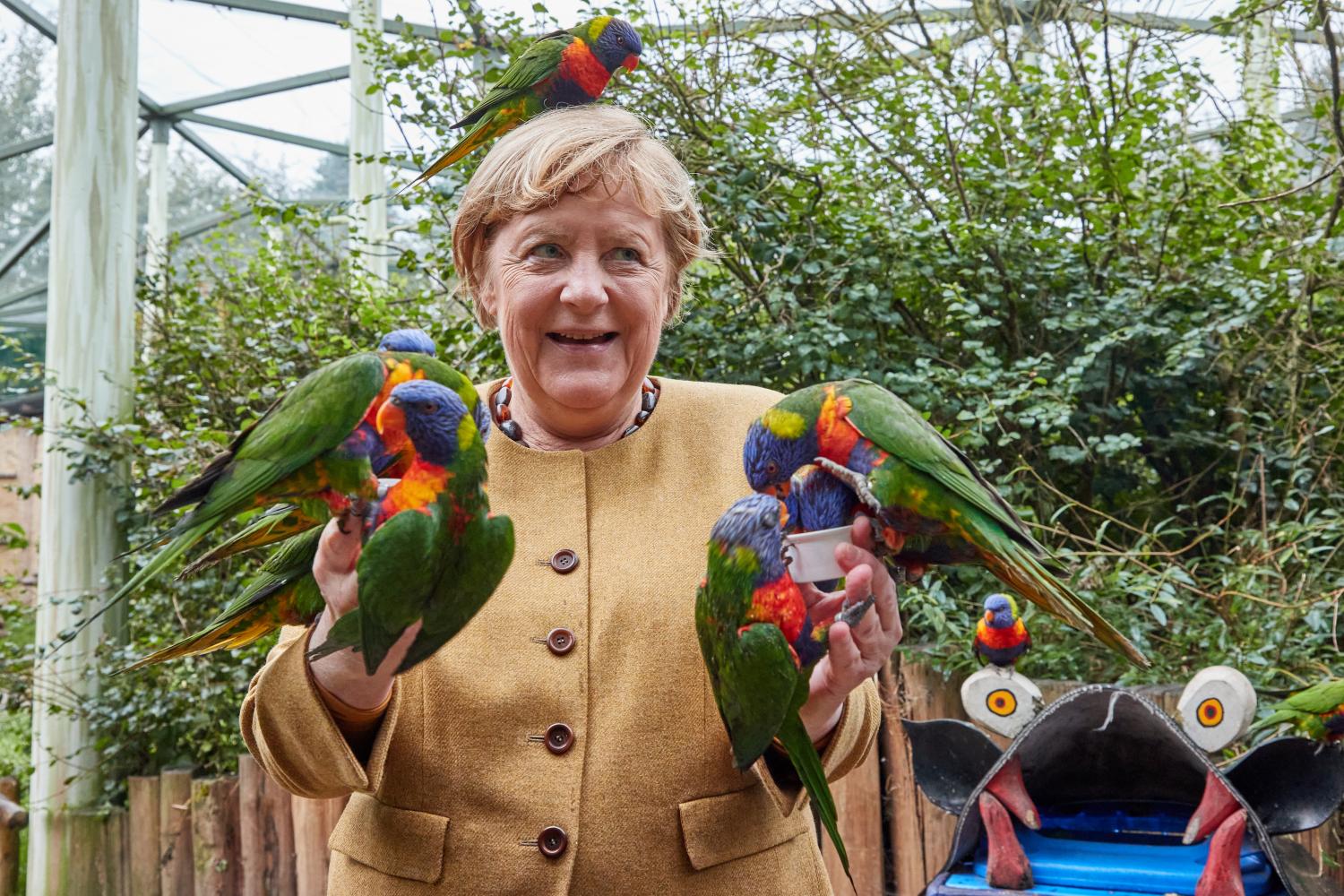 Angela Merkel füttert Loris im Vogelpark Marlow 
