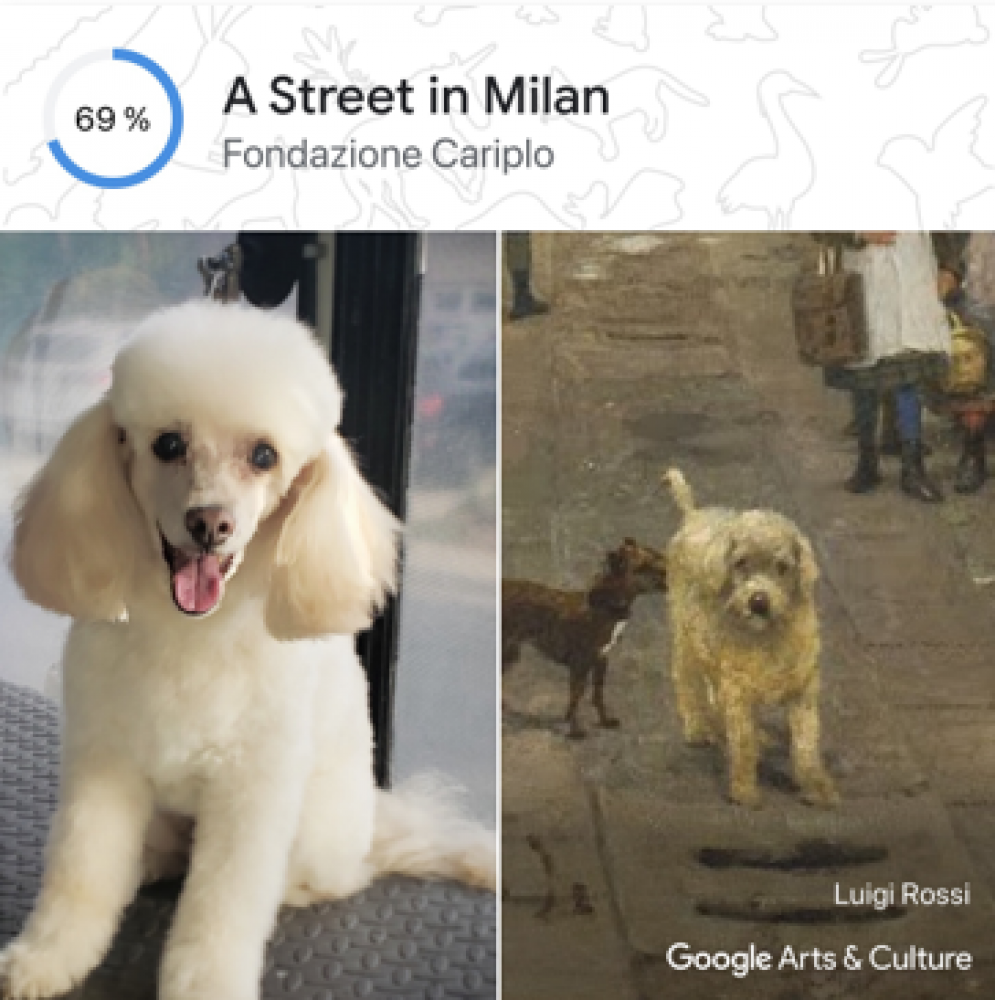 Hund Holly, Luigi Rossi "A Street in Milan", 1881