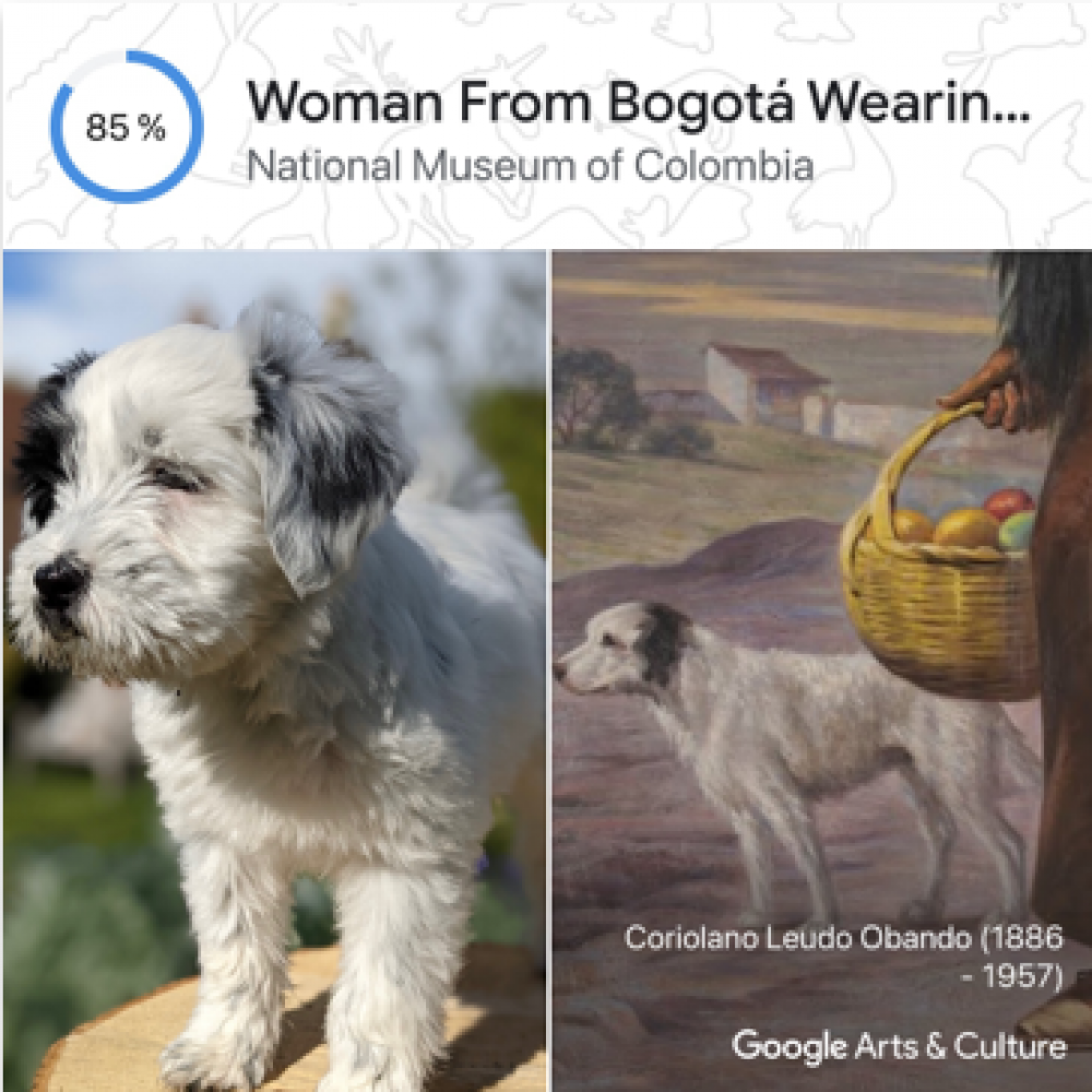 Hund Patch, Coriolano Leudo Obando "Woman From Bogotá Wearing Mantilla", ca. 1917