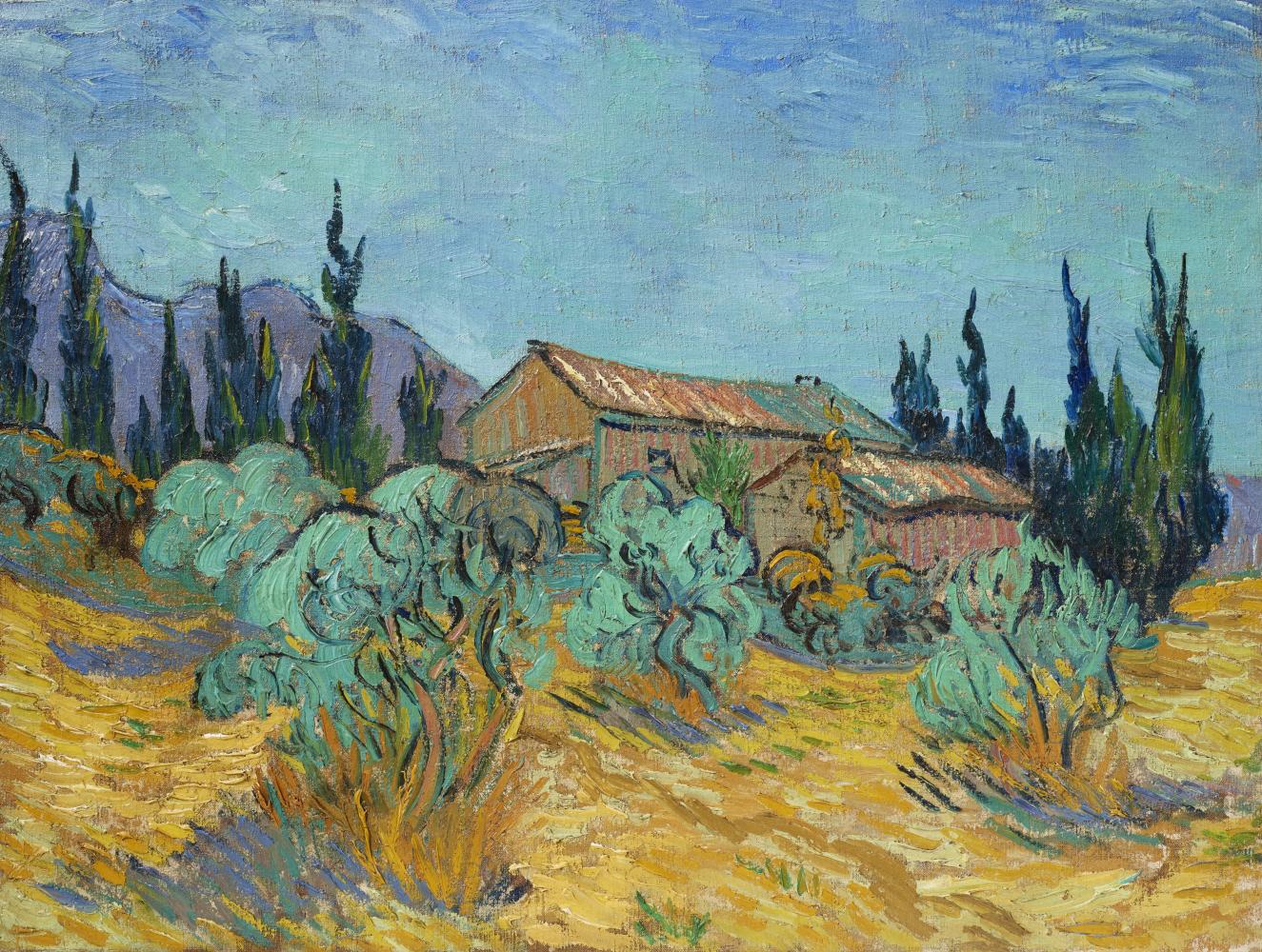 "Cabanes de bois parmi les oliviers et cyprès" von Vincent van Gogh