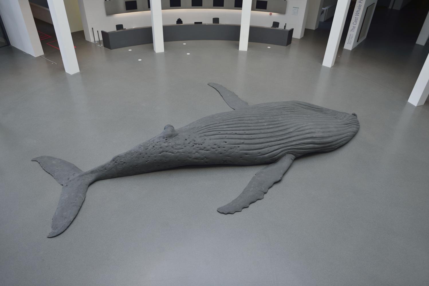 Gil Shachar "The Cast Whale Project", Pinakothek der Moderne, München