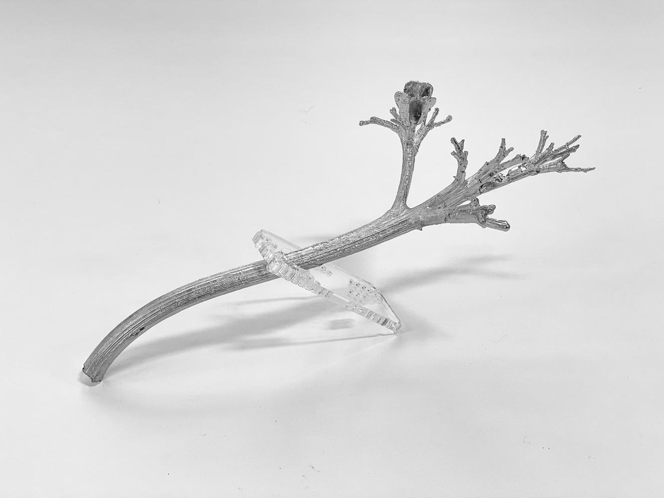 Malte Bartsch "Agave", 2021, Aluminium cast, plexiglass, 20 x 12 x 10 cm