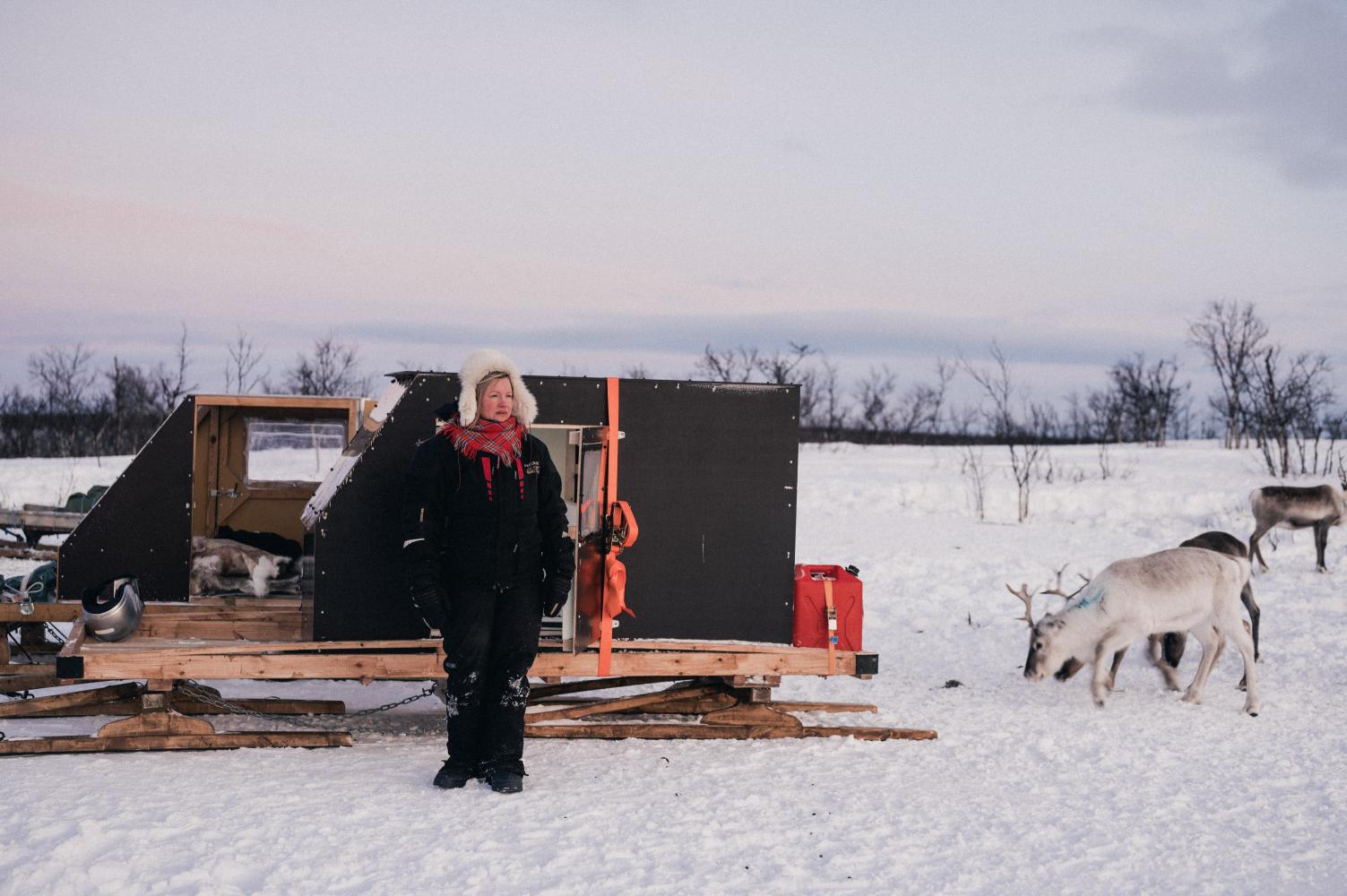 Künstlerin Máret Ánne Sara mit Rentieren der Herde ihrer Familie in der Tundra in der Nähe von Šuoššjávri, Karasjok