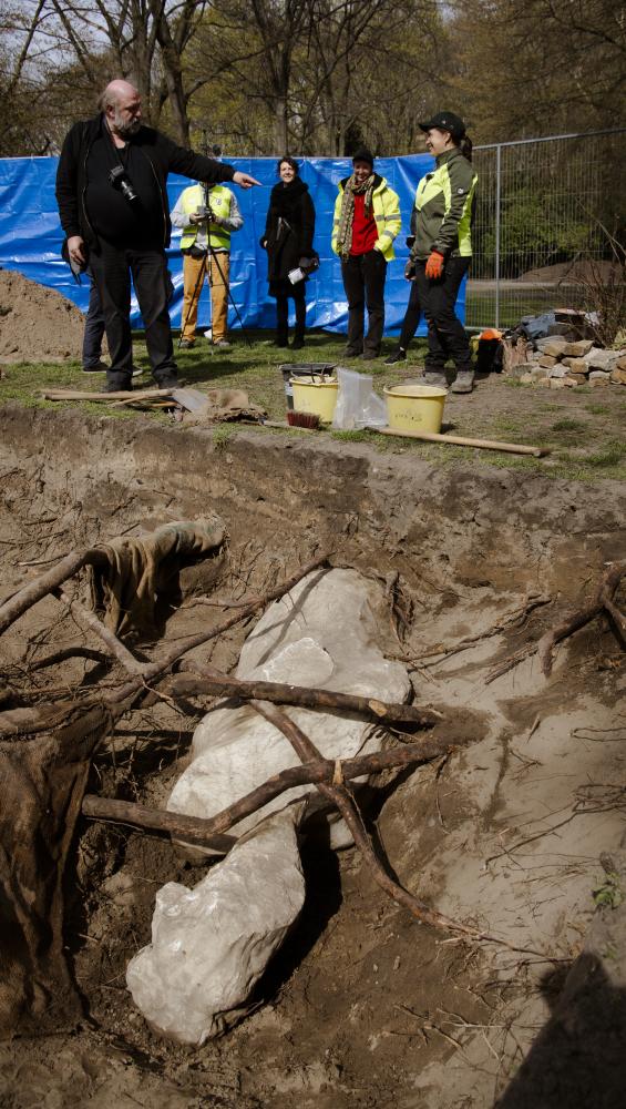 Fundstücke des Berliner Unterwelten Vereins, die bei Grabungen im Volkspark Humboldthain freigelegt wurden