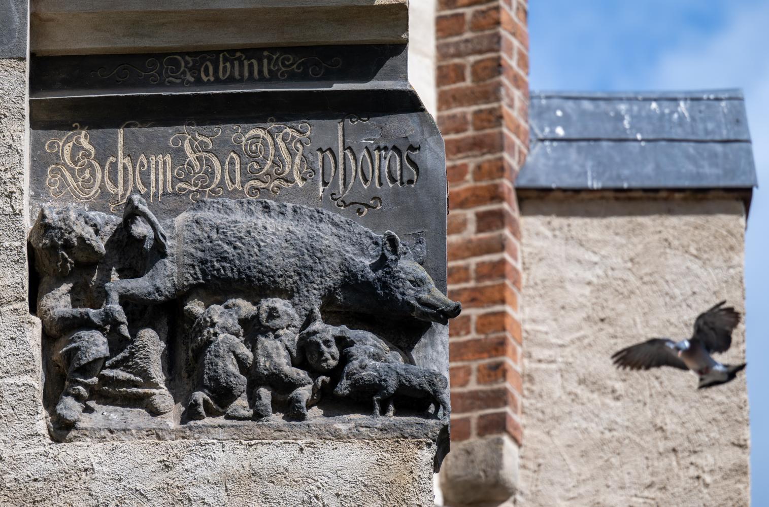 Eine als „Judensau“ bezeichnete Schmähplastik ist an der Wittenberger Stadtkirche zu sehen