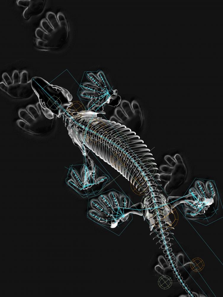 Ebenfalls in der Ausstellung "BioMedien" zu sehen: Jonas Laustöer, Amir Andikfar, John Nyakatura "Photomontage of OroBOT and 3D digital skeleton of Orobates"