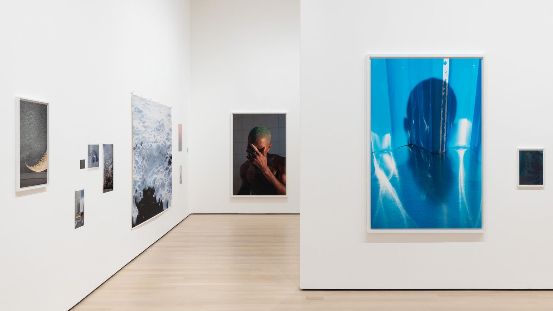 Wolfgang Tillmans "To look without fear", Installationsansicht MoMa, New York, 2022
